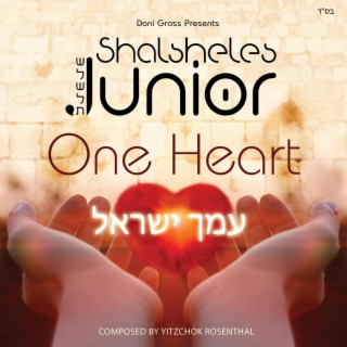 Amcha Yisroel One Heart