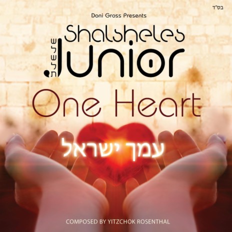 Amcha Yisroel One Heart ft. Shalsheles | Boomplay Music