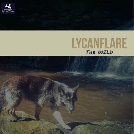 Shayne (The Wolf) | Boomplay Music