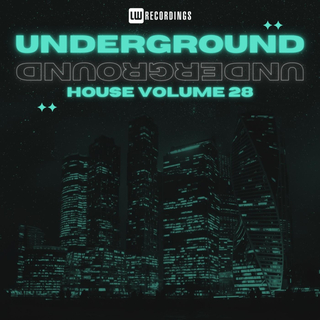 Underground House, Vol. 28