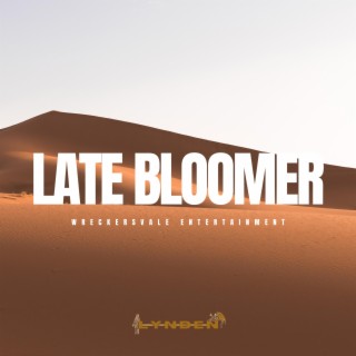 Late Bloomer lyrics | Boomplay Music