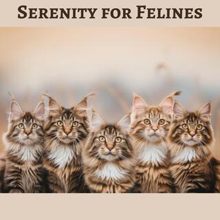 Serenity for Felines: Sleep Music for Anxious Cats, Nervous Kitties, Soothing Cat Therapy