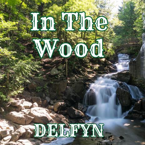 In The Wood | Boomplay Music