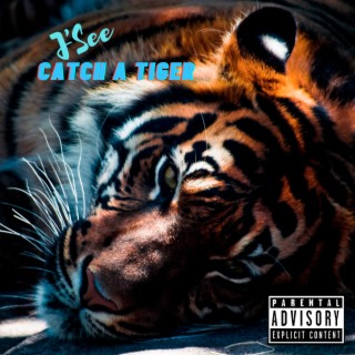 Catch a Tiger