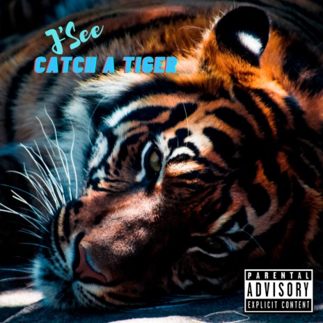 Catch a Tiger | Boomplay Music