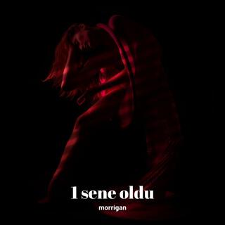 1 sene oldu lyrics | Boomplay Music