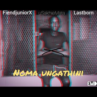 Noma Ungathini