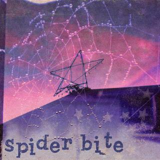 Spider Bite lyrics | Boomplay Music