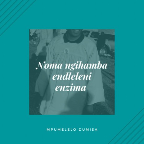 Noma Ngihamba Endleni | Boomplay Music