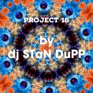 Project 16