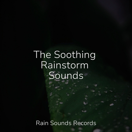 Tempestuous Rhapsody ft. Ambiente & Meditation Rain Sounds | Boomplay Music