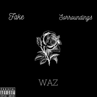 Fake Sorroundings lyrics | Boomplay Music