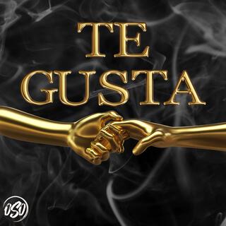 Te Gusta