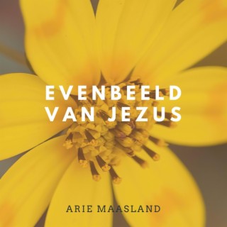 Evenbeeld Van Jezus