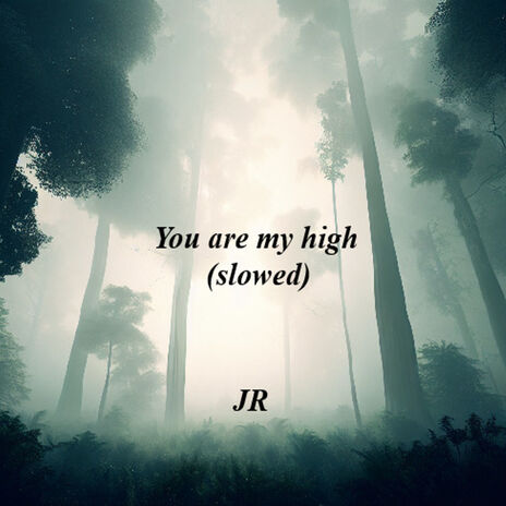 You Are My High (Slowed) | Boomplay Music