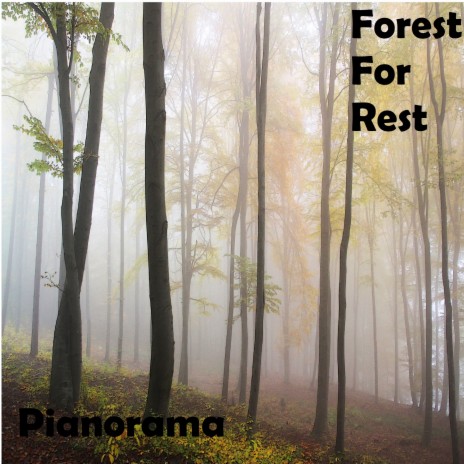 Forest for Rest | Boomplay Music