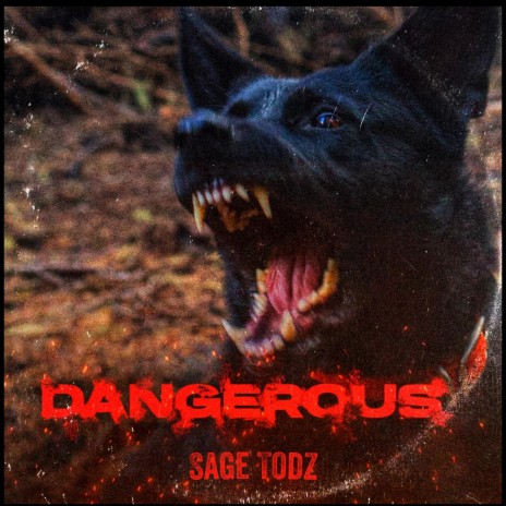 DANGEROUS | Boomplay Music