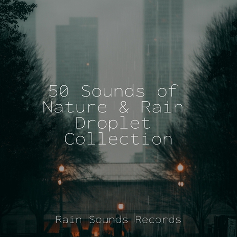 Raindrop Symphony in Green ft. Lucid Dreaming Music & Relax Meditate Sleep | Boomplay Music