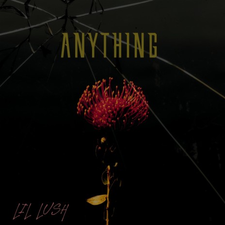 Anything | Boomplay Music