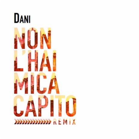 Non l'hai mica capito (Remix) | Boomplay Music