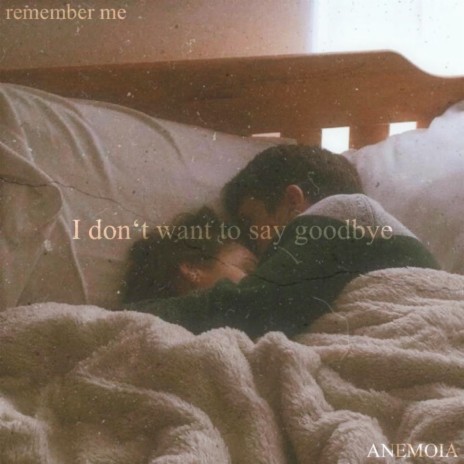 I Don't Want To Say Goodbye ft. ANEMOIA | Boomplay Music