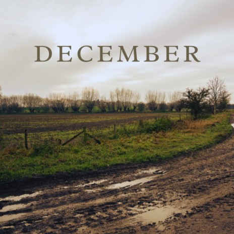 December ft. Thimo Gijezen, Eva van Pelt & Saartje Van Camp | Boomplay Music