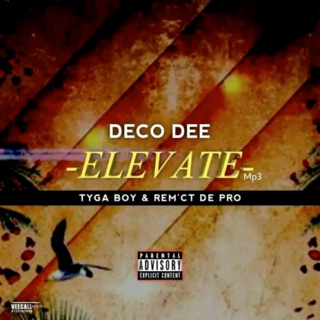 Elevate ft. Tygaboy Mukoni & Rec'mt de pro | Boomplay Music