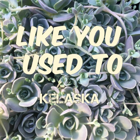 Like You Used To | Boomplay Music