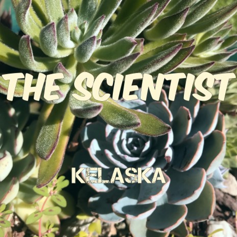 The Scientist | Boomplay Music