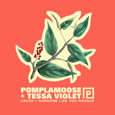 Crush + Someone Like You Mashup ft. Tessa Violet | Boomplay Music