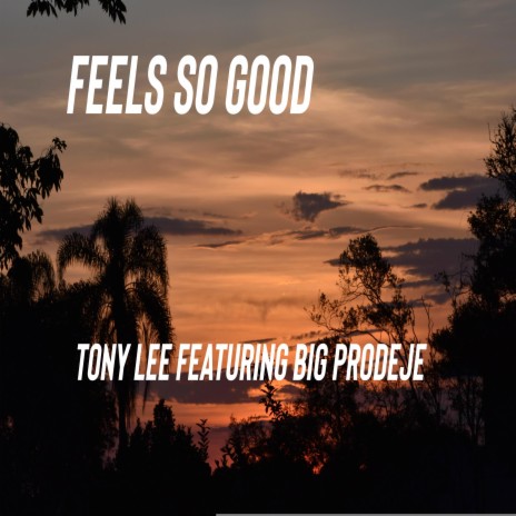 Feels So Good ft. Big Prodeje | Boomplay Music