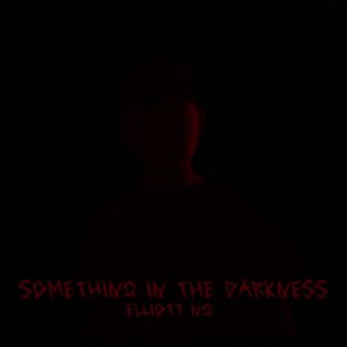 Something In The Darkness