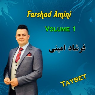 Farshad Amini Volume 1