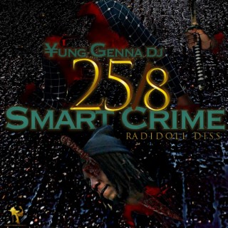 25/8 Smart Crime