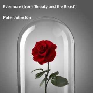 Evermore (From Beauty and the Beast)