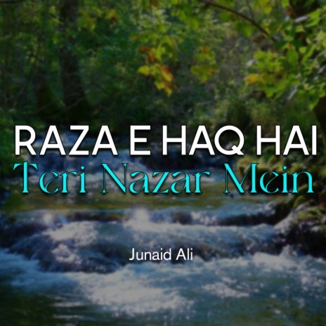 Raza e Haq Hai Teri Nazar Mein | Boomplay Music