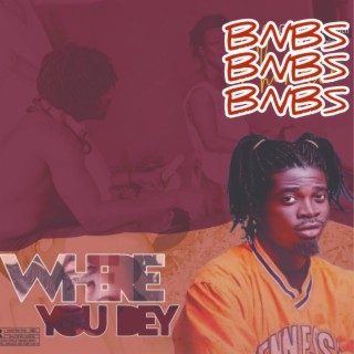 Where You Dey lyrics | Boomplay Music