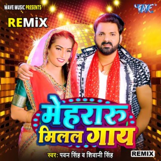Mehraru Milal Gaay - (Remix)