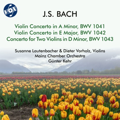 Concerto for 2 Violins in D Minor, BWV 1043: III. Allegro ft. Dieter Vorholz, Mainz Chamber Orchestra & Günter Kehr | Boomplay Music