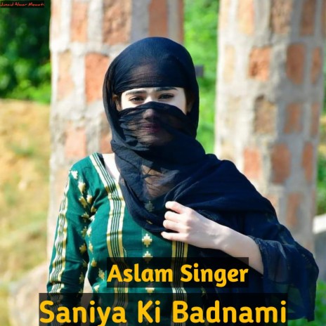Saniya Ki Badnami Mewati Song | Boomplay Music