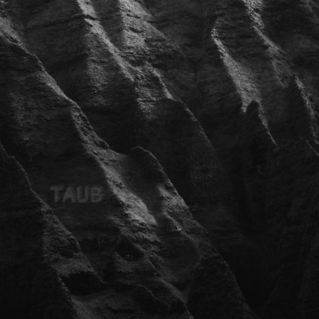 Taub | Boomplay Music