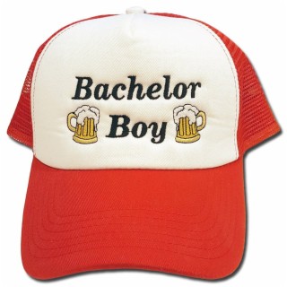 Bachelor Boy
