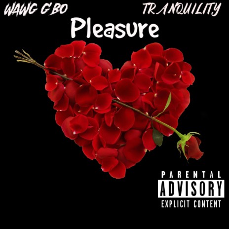 Pleasure ft. Tranquility | Boomplay Music