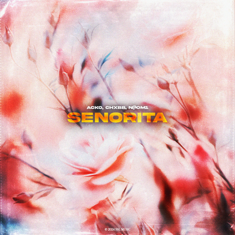 Senorita ft. CHXBB & N@OM1 | Boomplay Music