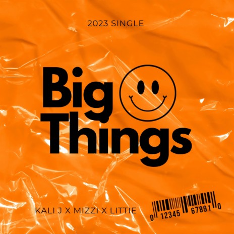 Big Things ft. Mizzi & LiTTiE | Boomplay Music