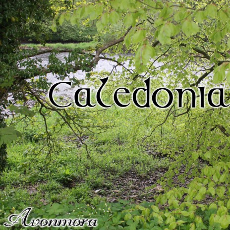 Caledonia | Boomplay Music