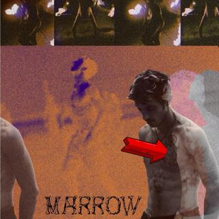 Marrow