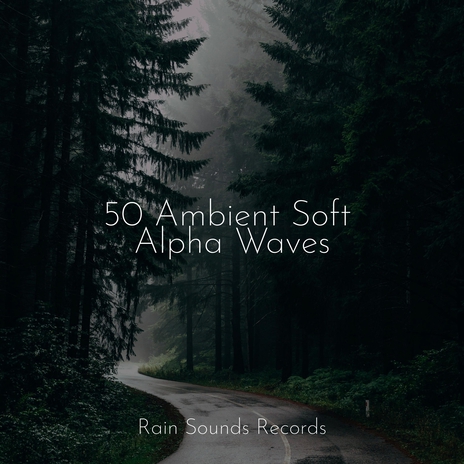 Enchanted Canopy Symphony ft. Easy Sleep Music & MEDITATION SPA | Boomplay Music