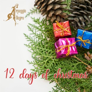 12 Days Of Christmas