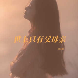 世上只有父母亲 lyrics | Boomplay Music